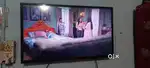 Shailendra