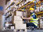 Urgent Hiring:We are hiring Staff Packing,Scanning,Billing, Data Entry