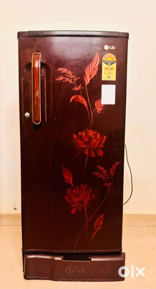 Lg 185 L, 5 Star, smart inverter compressor single door Refrigerator