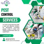 Pest control services