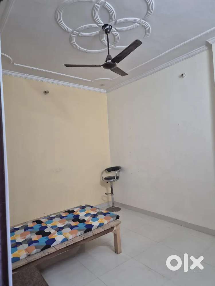 Only job employ and student girl