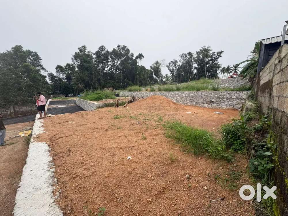 Perfect plots available for home/investments in kazhakoottam