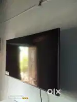 LG LED  2025