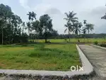 Perumbavoor pattal