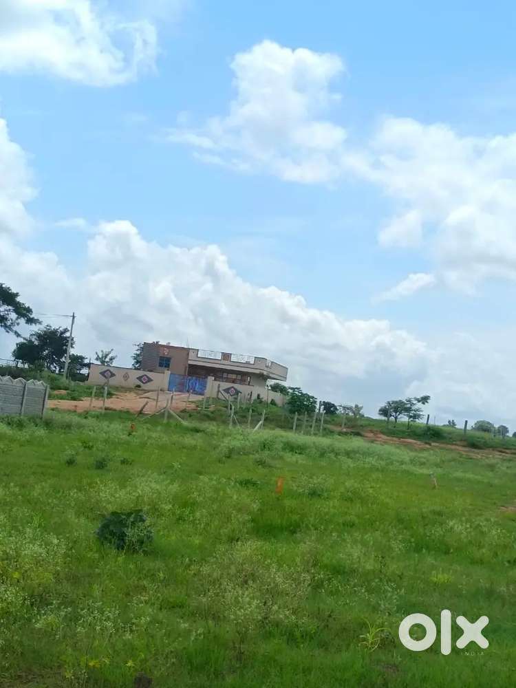 Jadcherla Residential Open Plots – Only ₹20,000 to Book