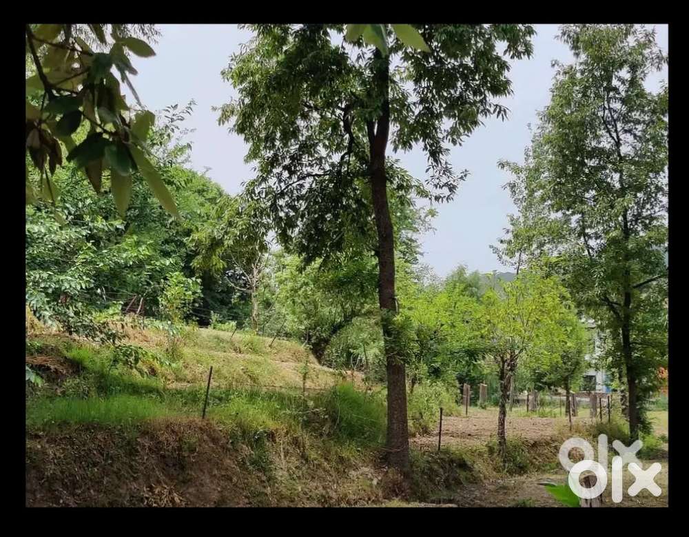 11 biswa plot for sale