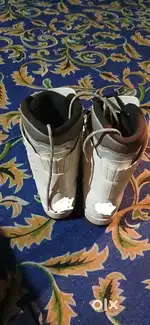 Mountaineering Snow Boot