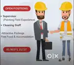 Cleaning, house keeping, cook, warden