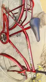 New cycle  10 days use