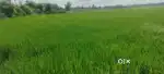 4 acre on road farm Land sale in Kilpennathur Thiruvannamalai