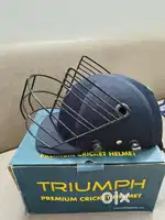 Cricket Helmet