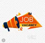 Looking for good looking boy Or girl for cafe