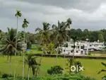 Mulanthuruthy beautiful paddyview good area red soil, , More Water
