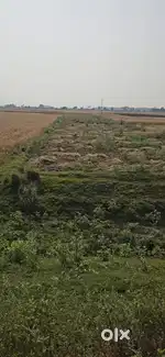Baktiyarpur near energing collage