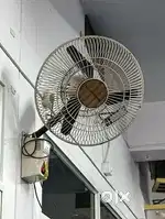 Wall fans 8fans unnai ammakaaniki siddamga