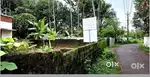 3 സെന്റർ ചേർത്തല തങ്കി ജംഗ്ഷൻ കടമുറിക്കും  വീടിനും അനുയോജ്യമായ സ്ഥലം
