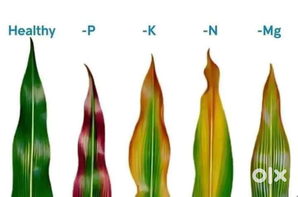 Medical store par job chahiye