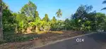 In Peringuzha 16 cent plot for sale
