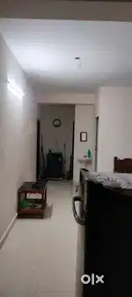 Paying guest for boys only