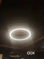 In trend circular lights with metallic golden shine for commercial use