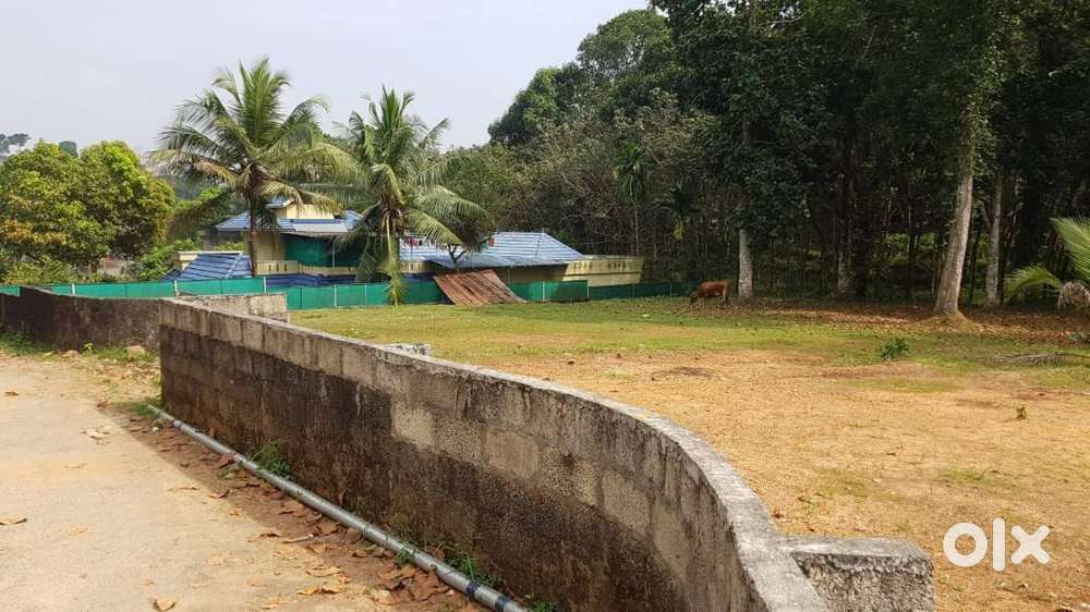 Plot for Sale @ ponkunnam