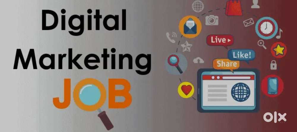 DIGITAL Marketing Profile with Full of Experience