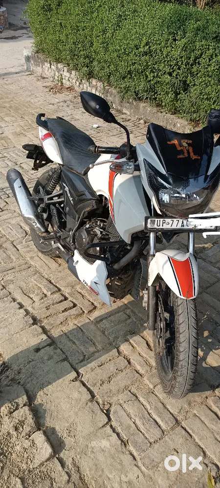 White apache for sale