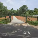 Plots for Sale on Mavelikara-Kurathikad-Charumoodu main RoadRoad