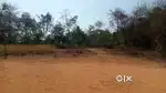 Land for sale,91.5 cent near Chithali NH, ₹1,45,000/cent(negotiable)