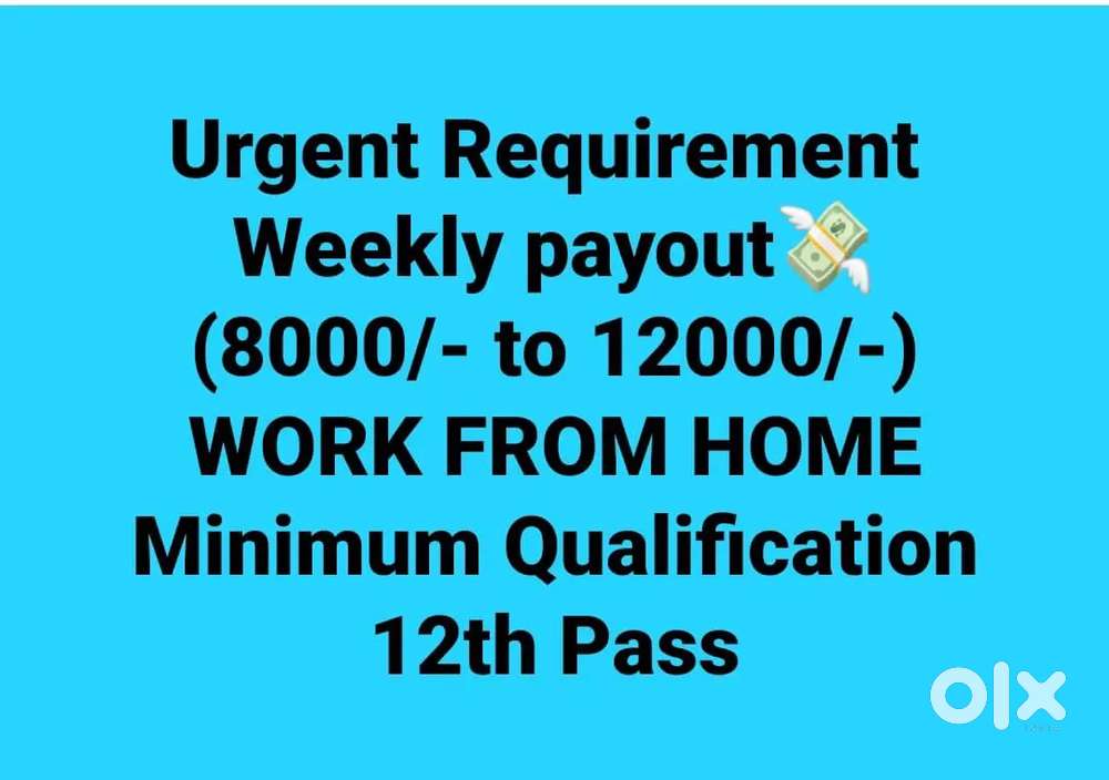 20 URGENT VACANCIES FOR FRESHER'S