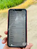Iphone 11 with original charger