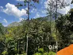 13 Cent Homestay land for sale@Vythiri,Olivmala