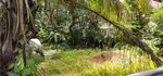 15 cents of Land for sale in Nettoor, Ernakulam  for 22L per cent