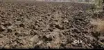 Near bara tahseel jasra prayagraj up