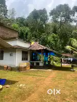 Wayanad tavinjal panjayath 2 acre land with house and fam selling