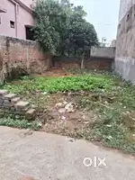 Very beautiful plot