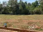 40x60 Site For Sale