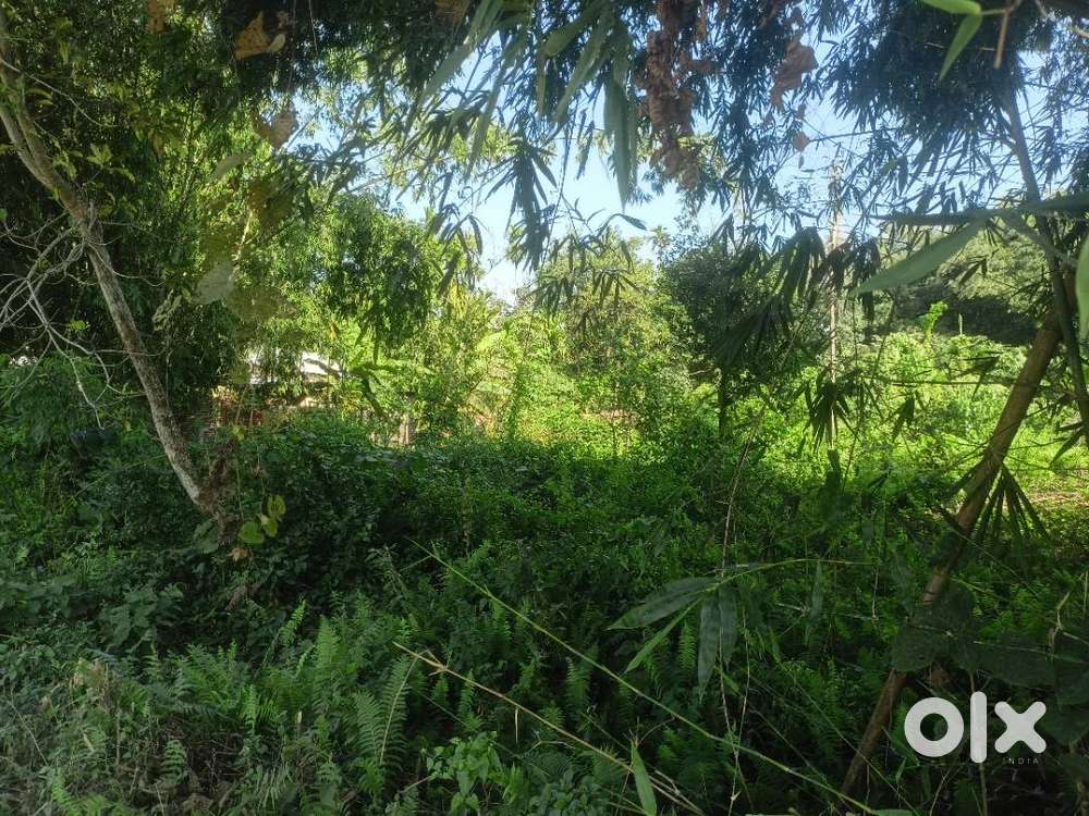 Near Bhulukadoba Model hospital, 200 m away from National Highway 27