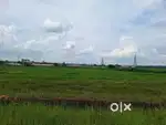 Free litigation land