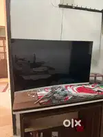 32” Curved Zebronics Monitor - Perfect for Work & gaming
