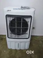 3 months old cooler