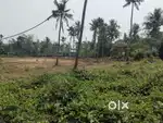 Aluva paravur road anachal 110 cent godown plot