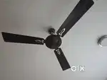 Ceiling fan in working conditions