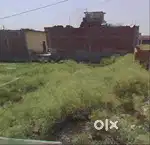 Plot in shikarpur bulandshahr