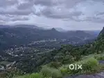 5. 25.acar lant cardmom pariyakanal munnar