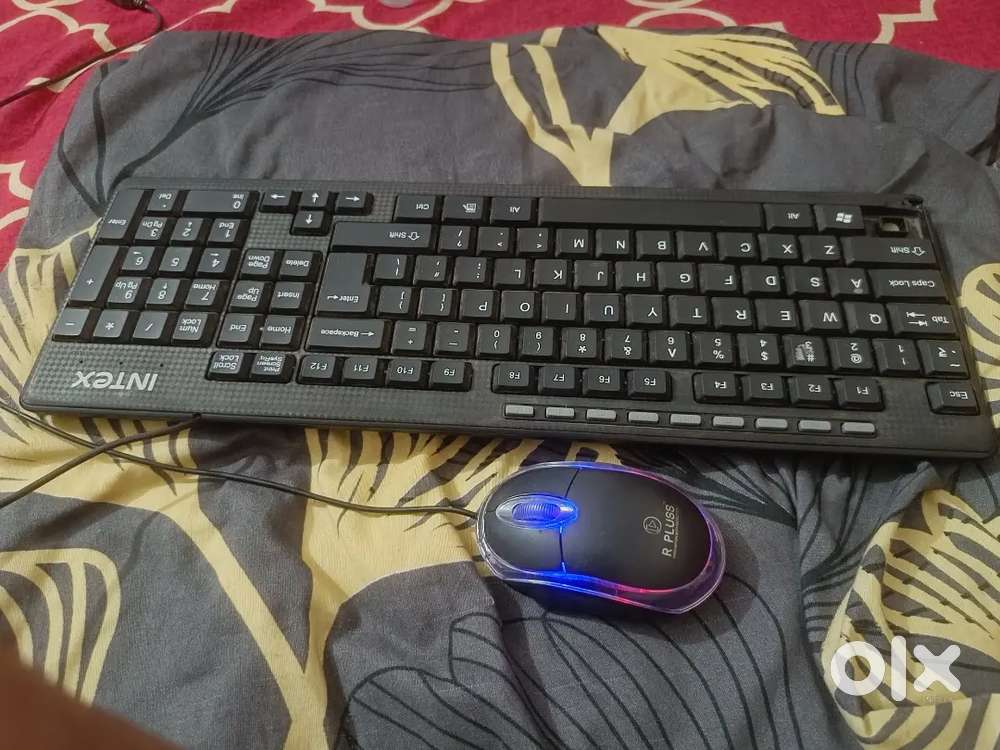 Intex Multimedia keyboard and pluss mouse