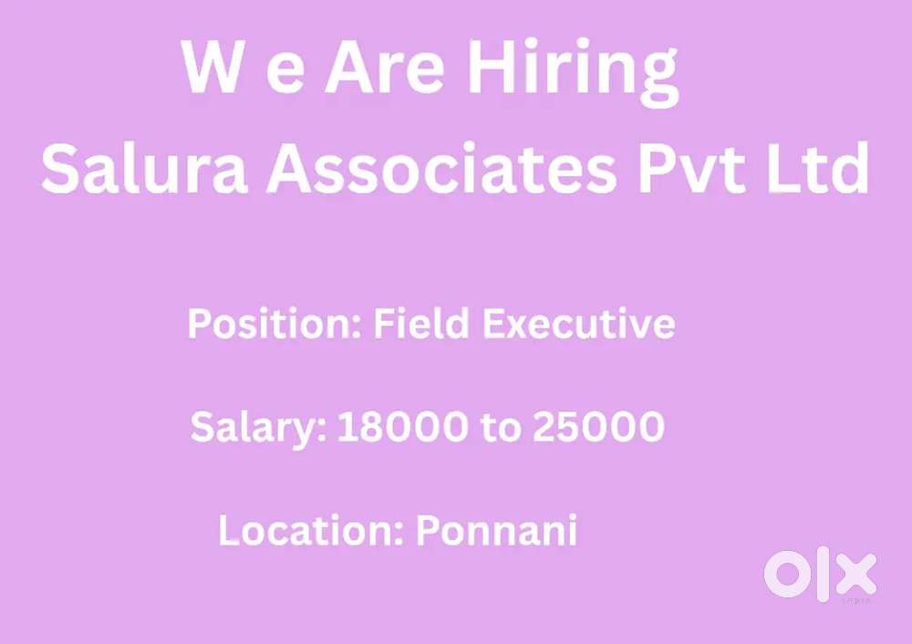 Collection Executive