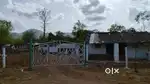 Commercial / Agricultural Sheds available on rent