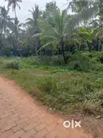 കുത്തിയതോട് NH By Bass അടുത്ത് 11സെന്റ് സ്ഥലം