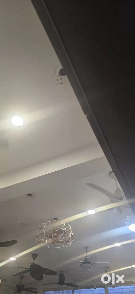 Required immediately only female